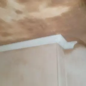 Bild von DGR Plastering Services