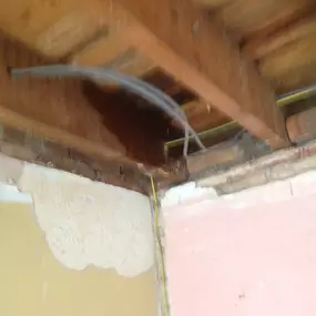 Bild von DGR Plastering Services