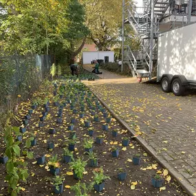 Bild von Gartengestaltung Müller UG