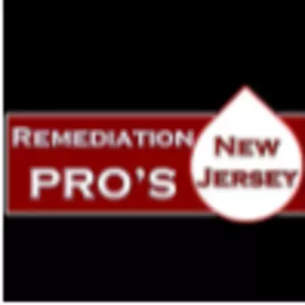 Logo von Remediation Pros NJ