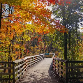 Low-maintenance living in a beautiful wooded enclave with access to the West Bloomfield Trail