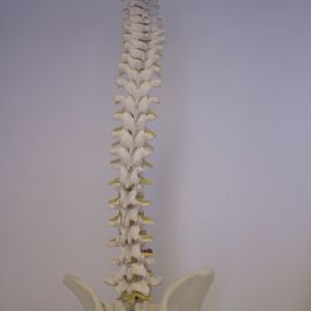 Bild von Old Town Chiropractic Clinic