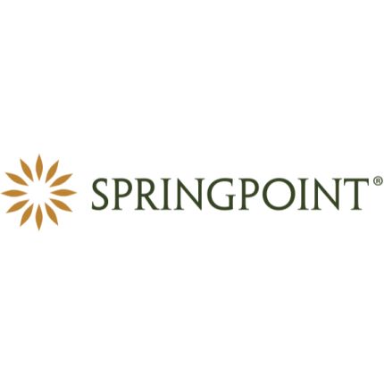 Logo from Springpoint at Home