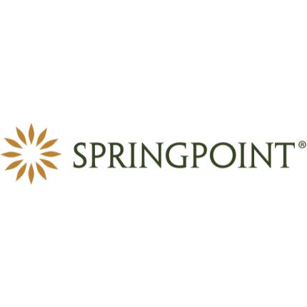 Logótipo de Springpoint at Home