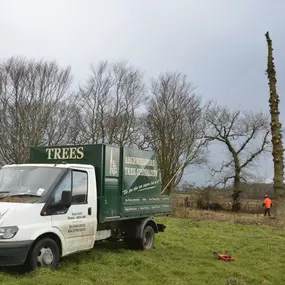 Bild von Aberdeenshire Tree Specialist