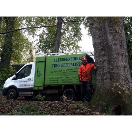 Logótipo de Aberdeenshire Tree Specialist