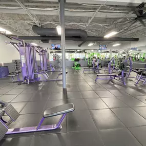 Bild von YouFit Gyms