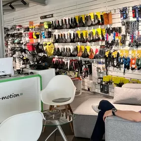 Bild von e-motion e-Bike Welt, Dreirad- & Lastenfahrrad-Zentrum München Süd