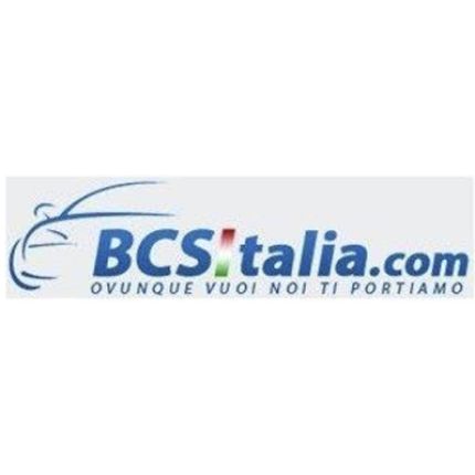 Logo from Business Car Service