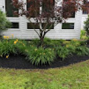 Bild von Above and Beyond Landscaping