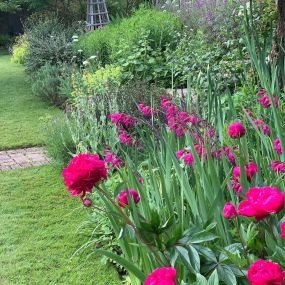 Bild von Hortus Pink Landscapes