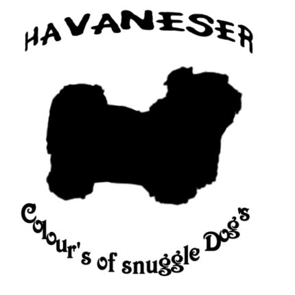 Logotipo de Havaneser Colour’s of Snuggle Dogˋs