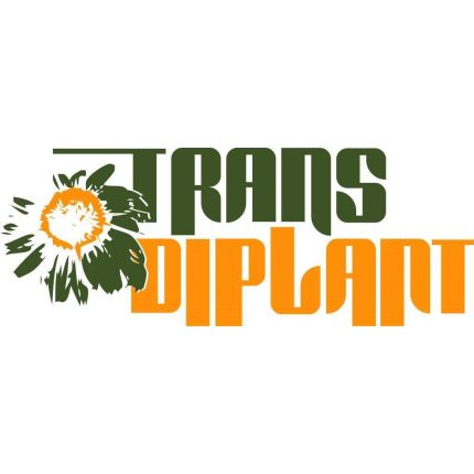 Logo van Transdiplant
