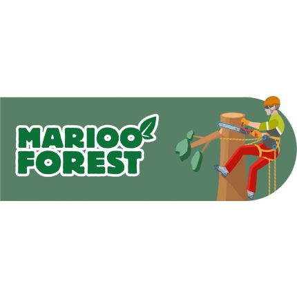 Logo de Marioo Forest