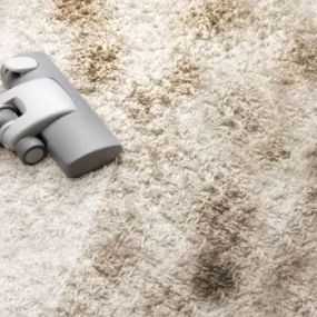 Bild von Carpet Pro LLC