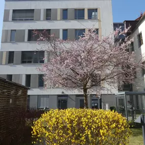 Bild von IHK Bildungszentrum Halle-Dessau GmbH