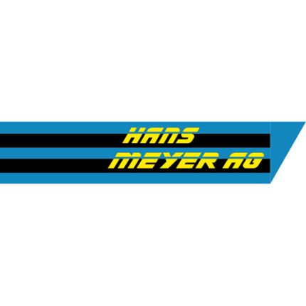 Logo fra Hans Meyer AG Birr