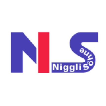 Logo fra Niggli Söhne Haustechnik AG