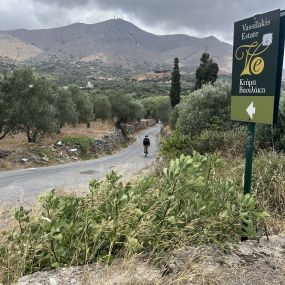 Bild von Bella Cycling Crete