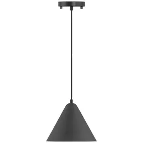 LED Pendant