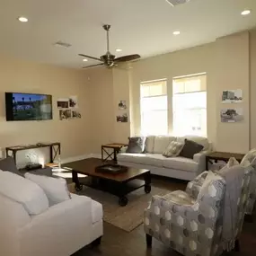 Apartment Living Room
