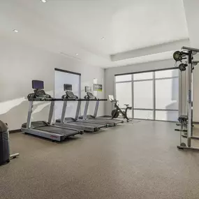 Health club  fitness center  gym