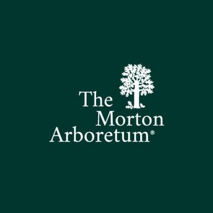 Logo from The Morton Arboretum