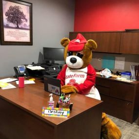 Stop by the office to talk all things insurance withe State Farm Bear!