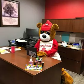 Stop by the office to talk all things insurance withe State Farm Bear!