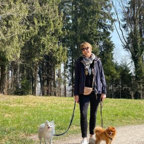 Bild von A-Z-Hundetraining