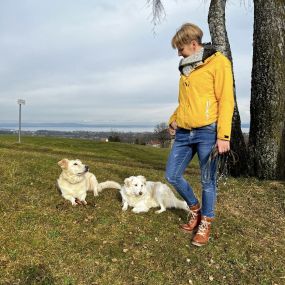 Bild von A-Z-Hundetraining