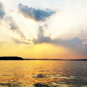 Percy Priest Lake offers all the essentials needed for a great day on the lake