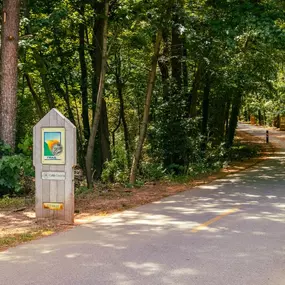 Walk, jog, or bike on the Silver Comet Trail