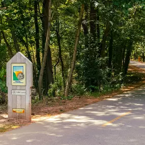 Walk, jog, or bike on the Silver Comet Trail