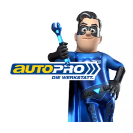 Logo from Autopro Mintgen Inh. Stefan Homscheid