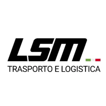 Logo from LSM SRL