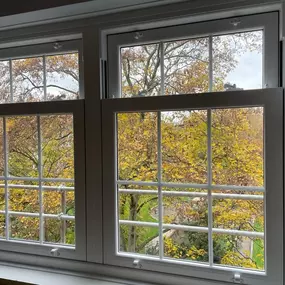 Bild von Window Doctor Service Of Southern Windows