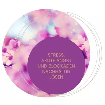 Logo da Life Coaching & Persönlichkeitstraining Martina Brandt