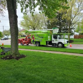 Bild von Best Budget Tree Service Firewood & Mulch