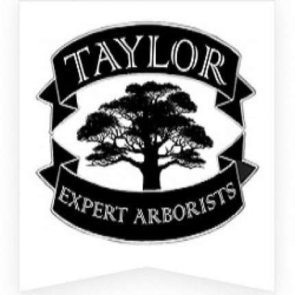Logo da Taylor Expert Arborists