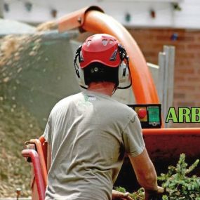 Bild von Arb Pro Tree Services Ltd