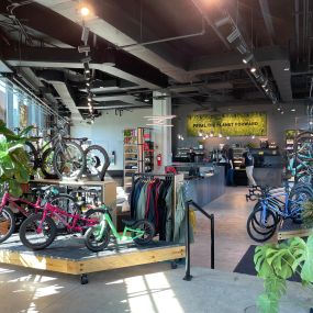 Specialized LIC Interior