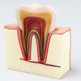 Bild von PS Dental