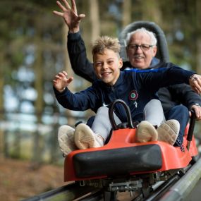 Bild von Alpine-Coaster-Bahn Gelenau/Erzgeb.