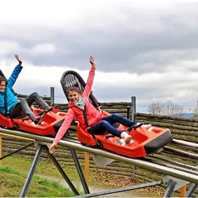 Bild von Alpine-Coaster-Bahn Gelenau/Erzgeb.