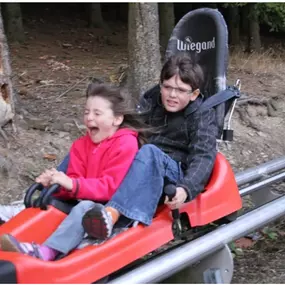 Bild von Alpine-Coaster-Bahn Gelenau/Erzgeb.