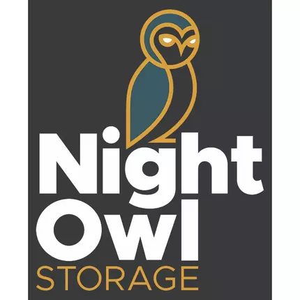 Logotipo de Night Owl Storage