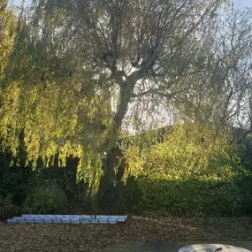 Bild von Henry's Horticulture - ARB