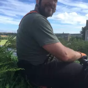 Bild von Henry's Horticulture - ARB