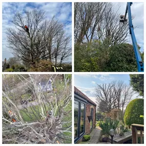 Bild von Henry's Horticulture - ARB